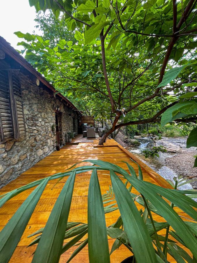The Hunter House Βίλα Ciudanovita Εξωτερικό φωτογραφία