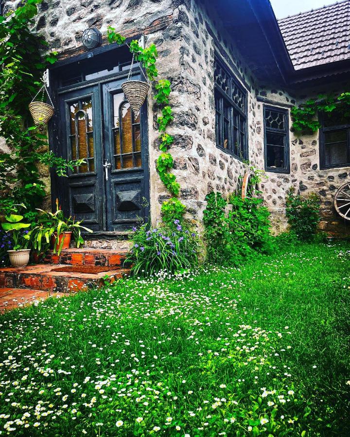 The Hunter House Βίλα Ciudanovita Εξωτερικό φωτογραφία